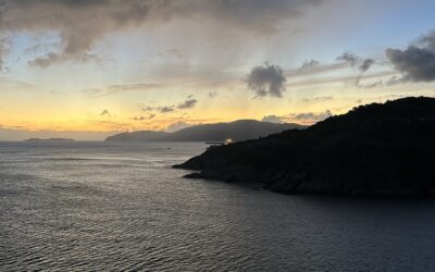 How Much Employer Stock Should I Hold?